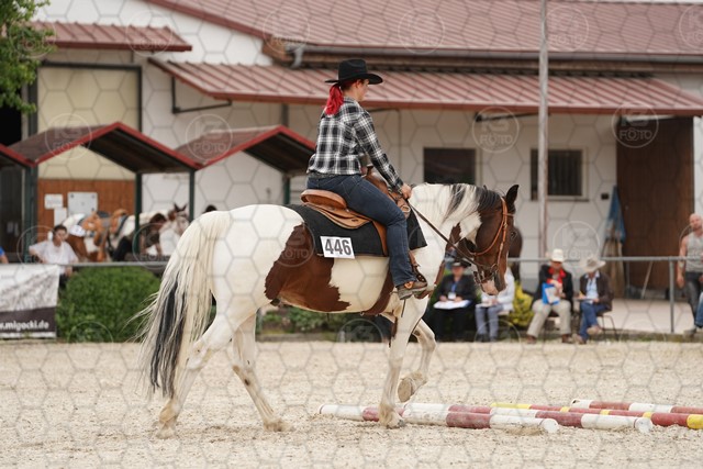sA9K08788.JPG